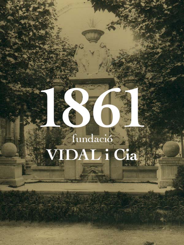 Història Aigües d'Espareguera Vidal S.A